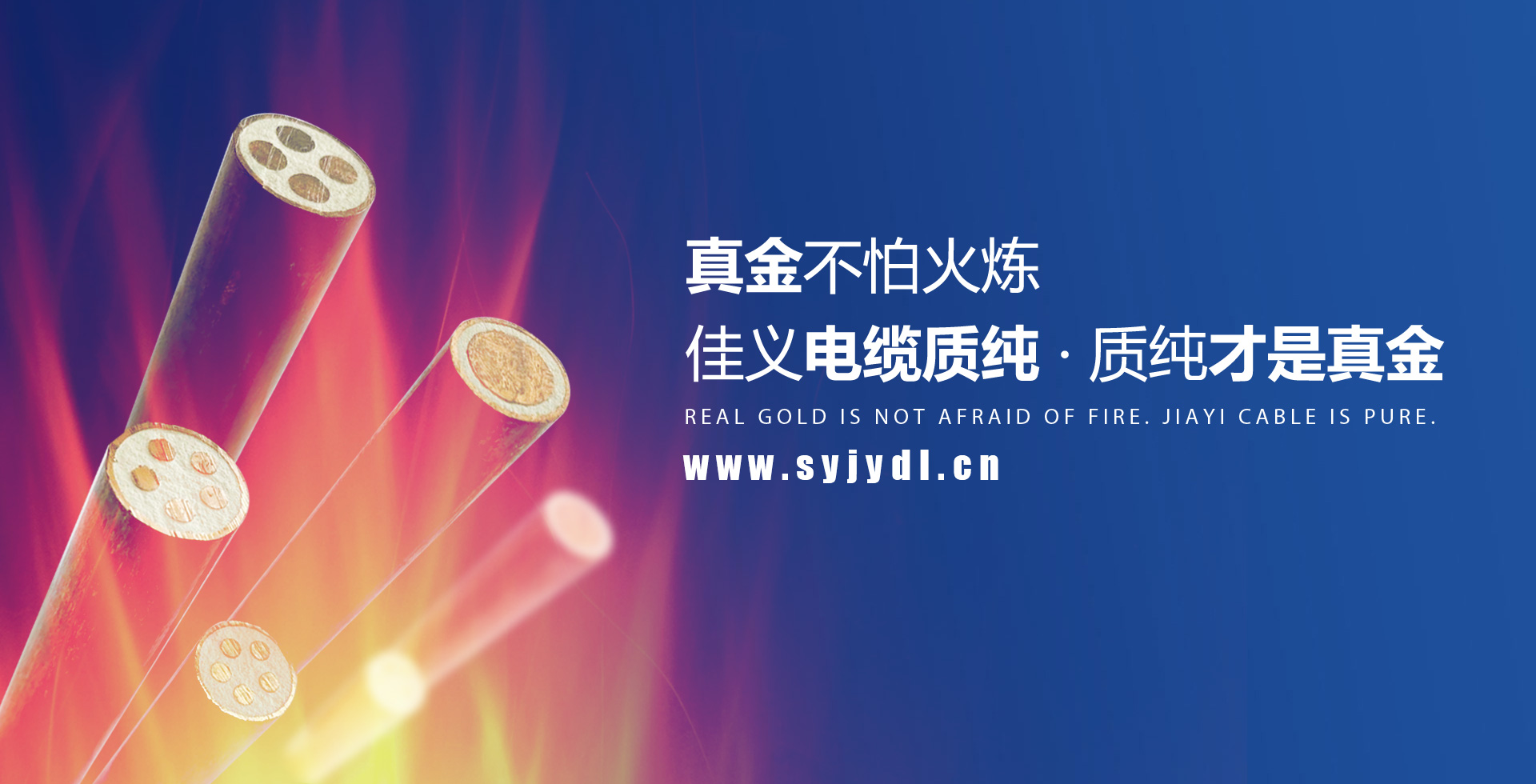 东北91看片软件大全厂家