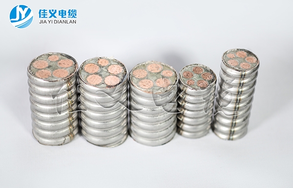 HFTGB不锈钢柔性东北91看片软件大全厂家