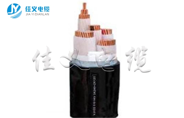 东北91看片软件大全