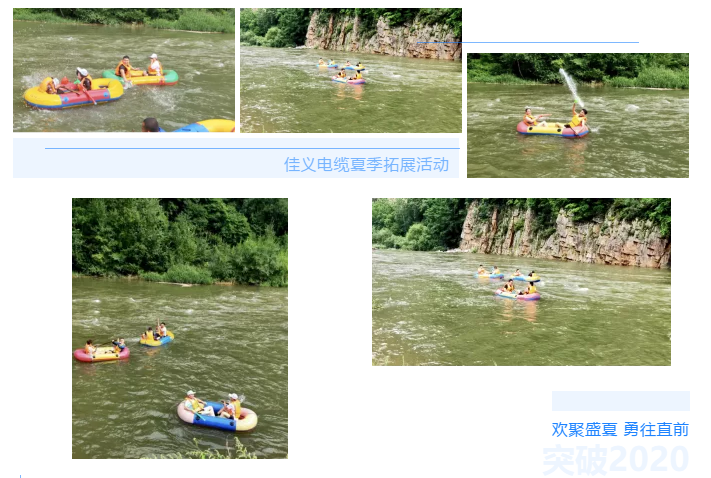 东北91看片软件大全