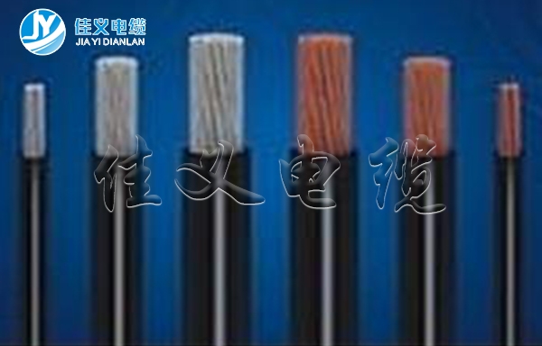 东北91看片软件大全